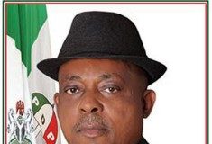 PDP chairmanship: My plans and the conspiracies against me — Secondus